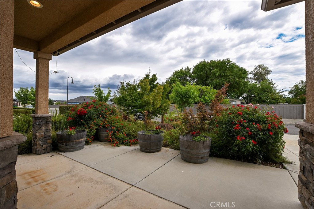 1654 Desert Spring Property Photo 19