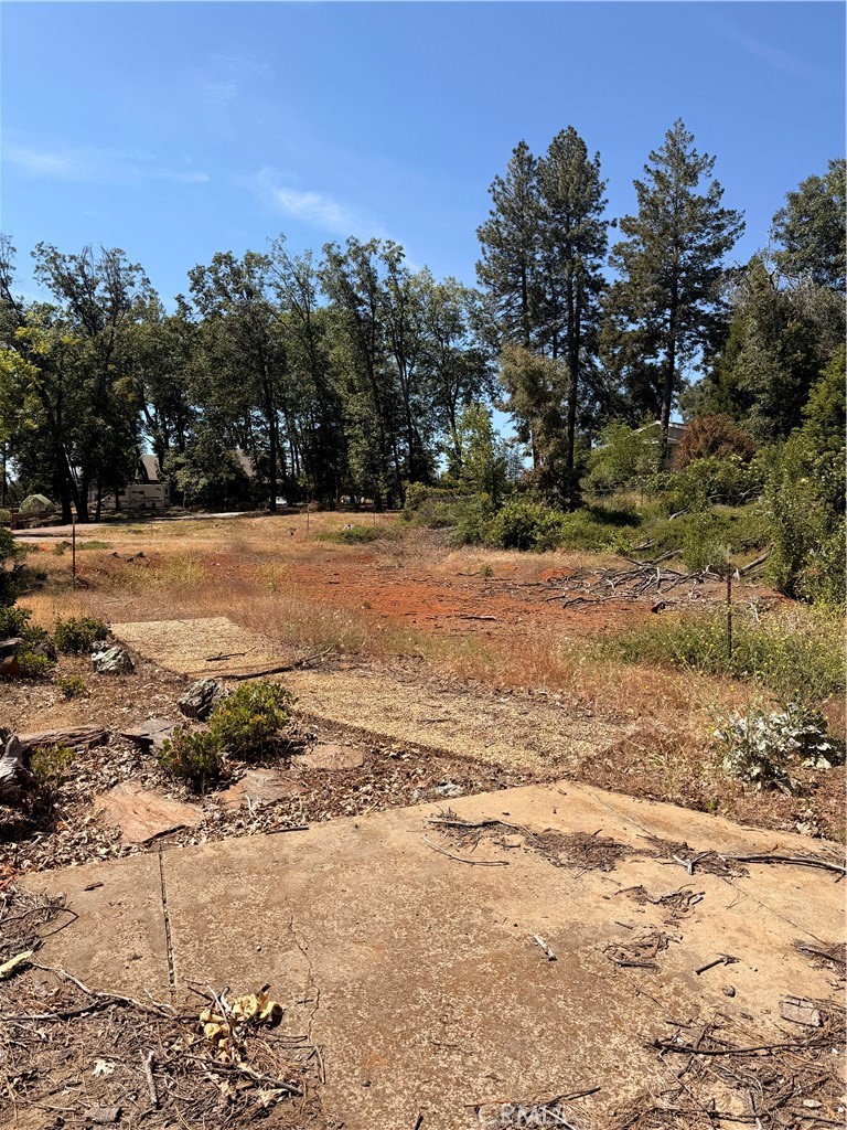 13457 Achilles Court Property Photo 4