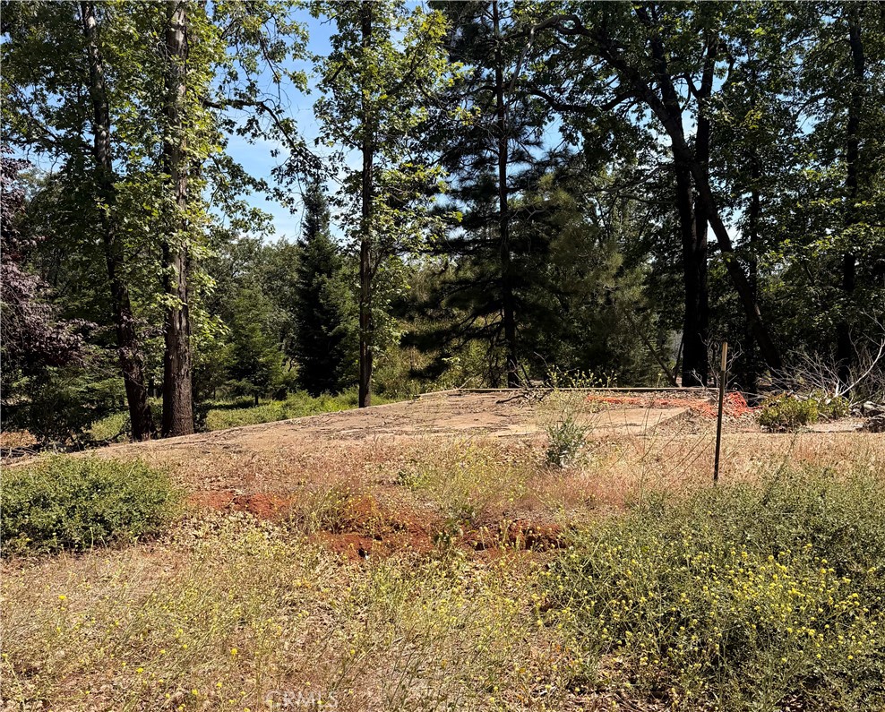 13457 Achilles Court Property Photo 6