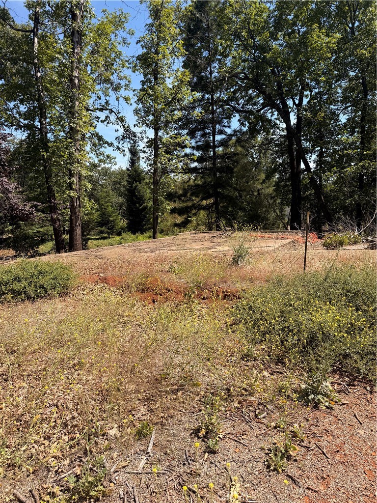 13457 Achilles Court Property Photo 7