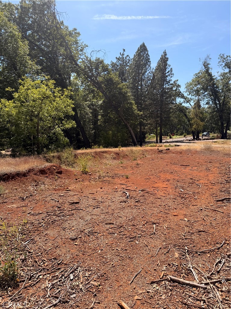 13457 Achilles Court Property Photo 8