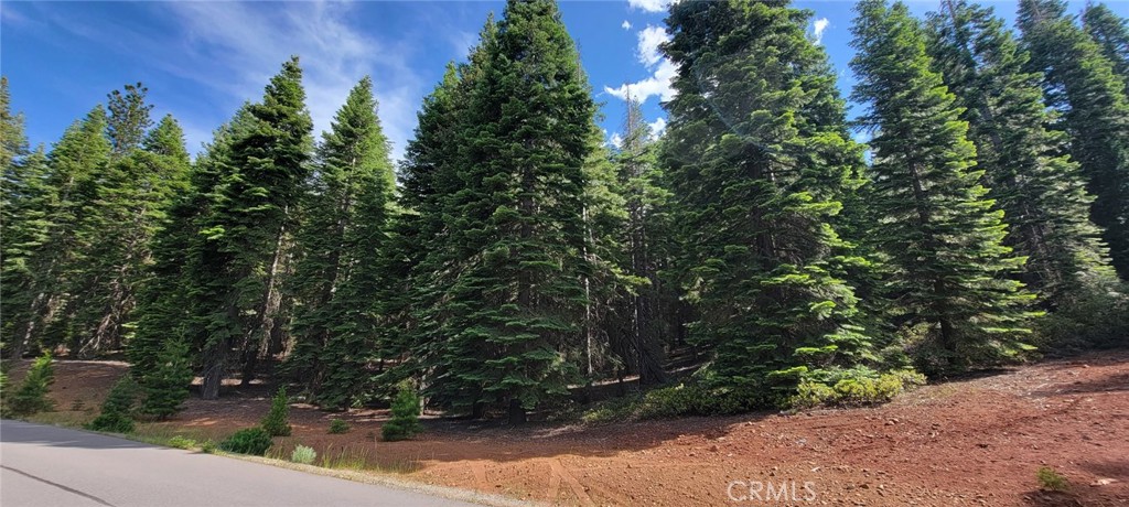 233 Snowy Peak Property Photo 1