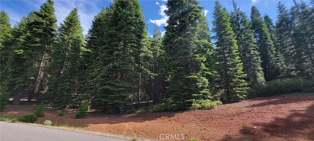 233 Snowy Peak Property Photo 2