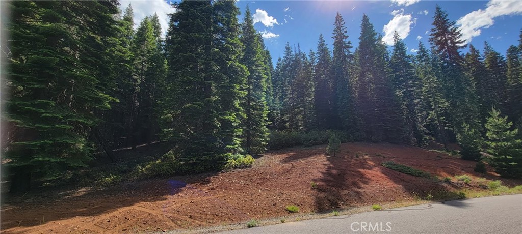 233 Snowy Peak Property Photo 4