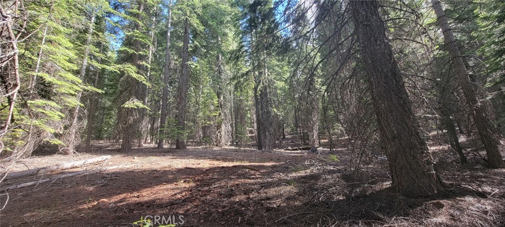 233 Snowy Peak Property Photo 5