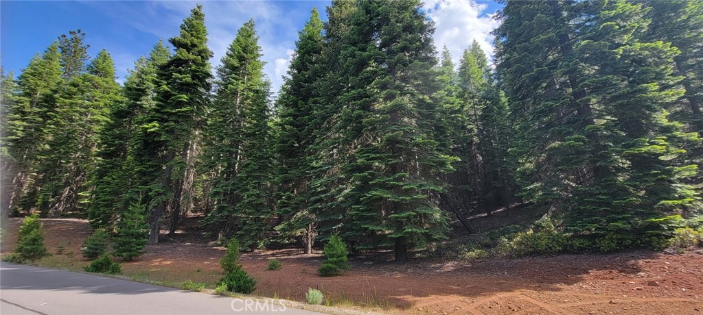 233 Snowy Peak Property Photo 6