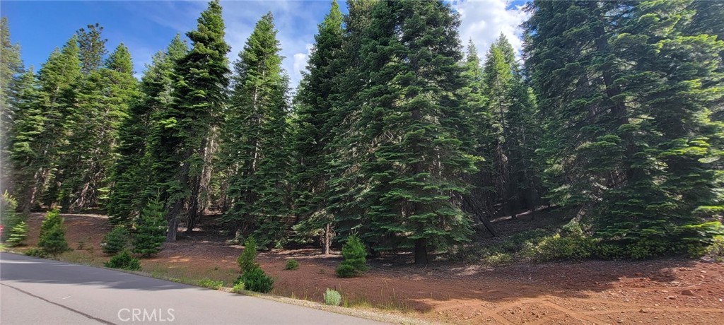 233 Snowy Peak Property Photo 7