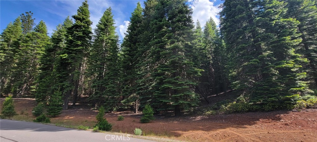 233 Snowy Peak Property Photo 9