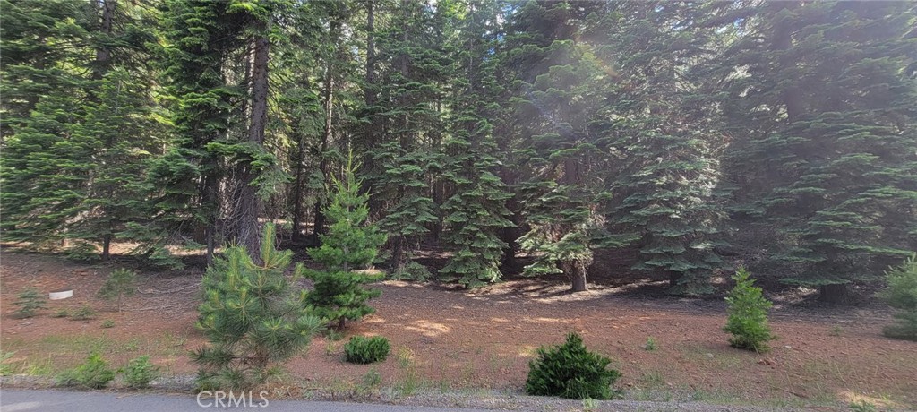 233 Snowy Peak Property Photo 10