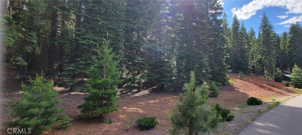 233 Snowy Peak Property Photo 11