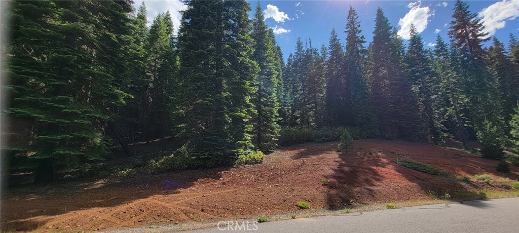 233 Snowy Peak Property Photo 12