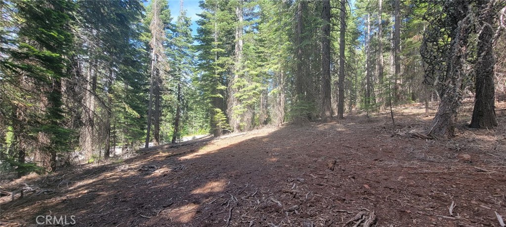 233 Snowy Peak Property Photo 13