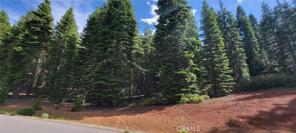233 Snowy Peak Property Photo 14