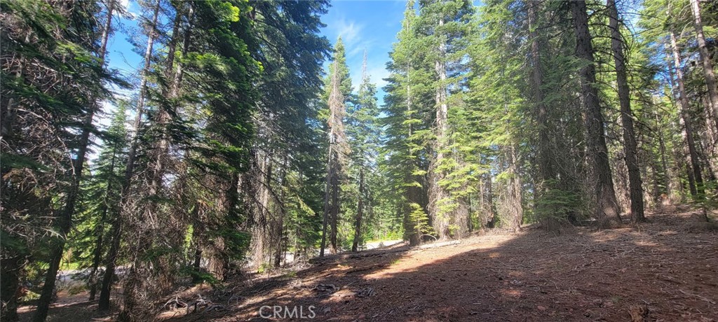 233 Snowy Peak Property Photo 15