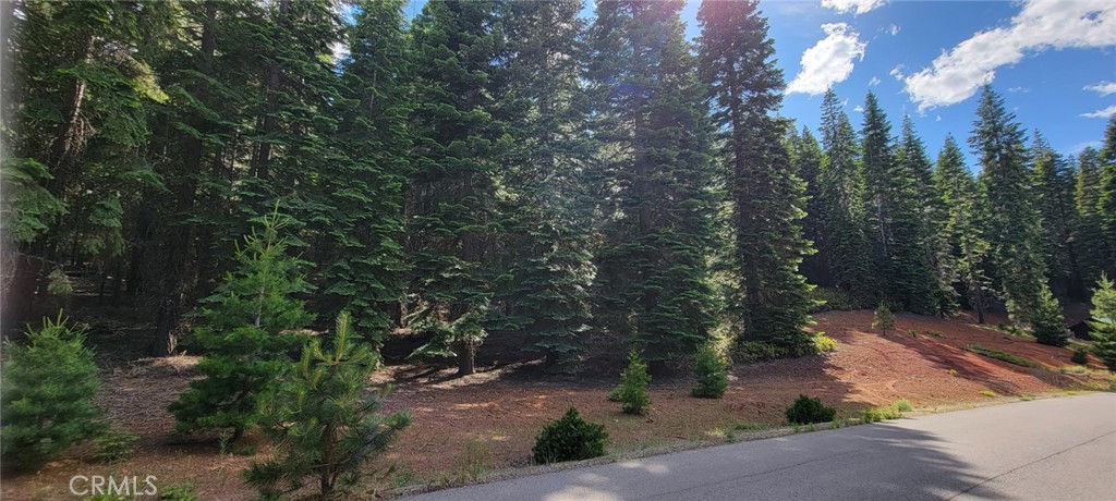 233 Snowy Peak Property Photo 16