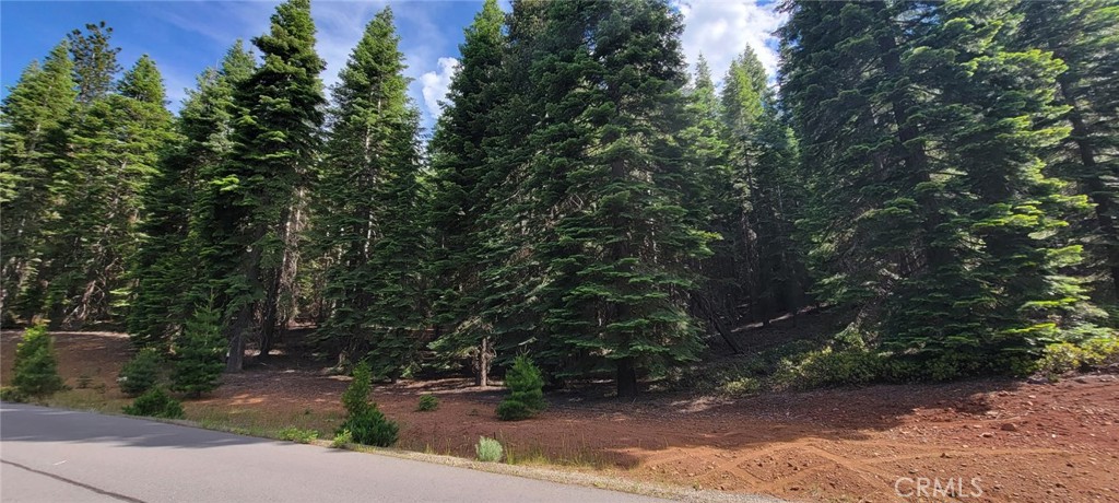 233 Snowy Peak Property Photo 17