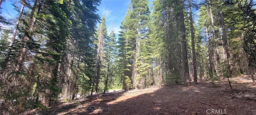 233 Snowy Peak Property Photo 18