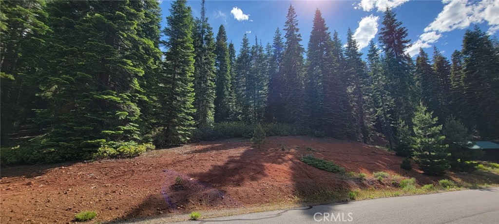 233 Snowy Peak Property Photo 20