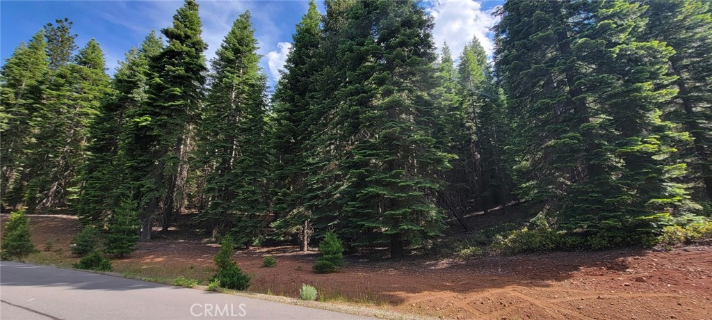 233 Snowy Peak Property Photo 21