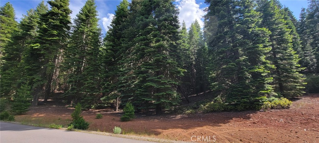 233 Snowy Peak Property Photo 22