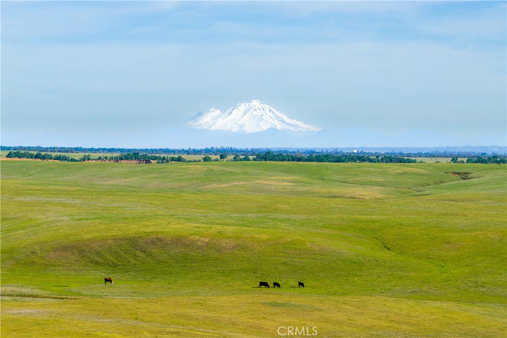 0 Rancho Tehama Road Property Photo 1
