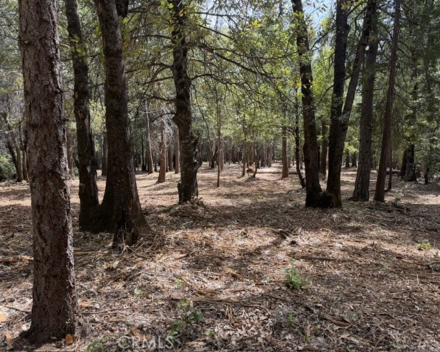 0 Platt Mountain Road Property Photo 1
