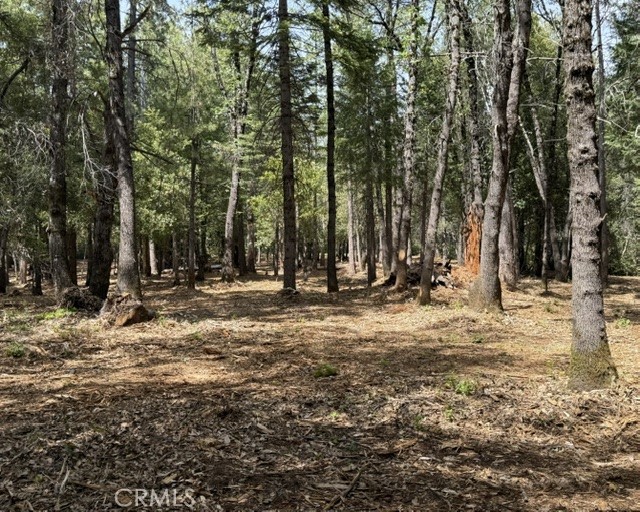 0 Platt Mountain Road Property Photo 2