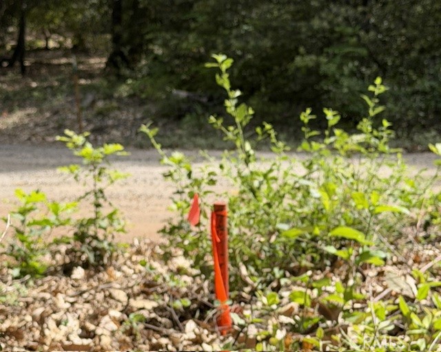 0 Platt Mountain Road Property Photo 3
