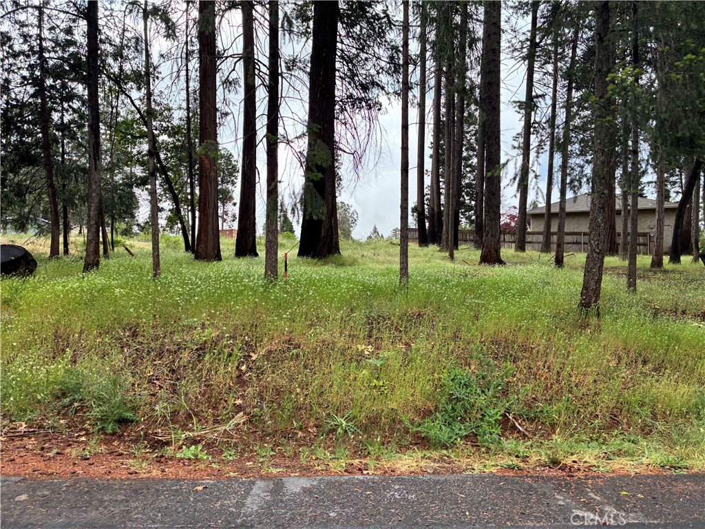 0 Pineland Circle Property Photo 1