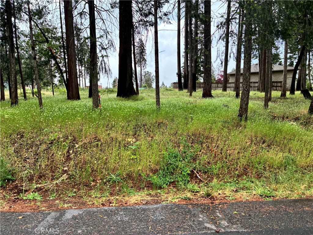 0 Pineland Circle Property Photo 2