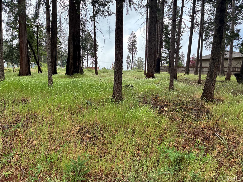 0 Pineland Circle Property Photo 3