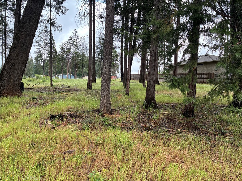 0 Pineland Circle Property Photo 5