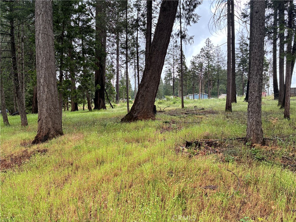 0 Pineland Circle Property Photo 6