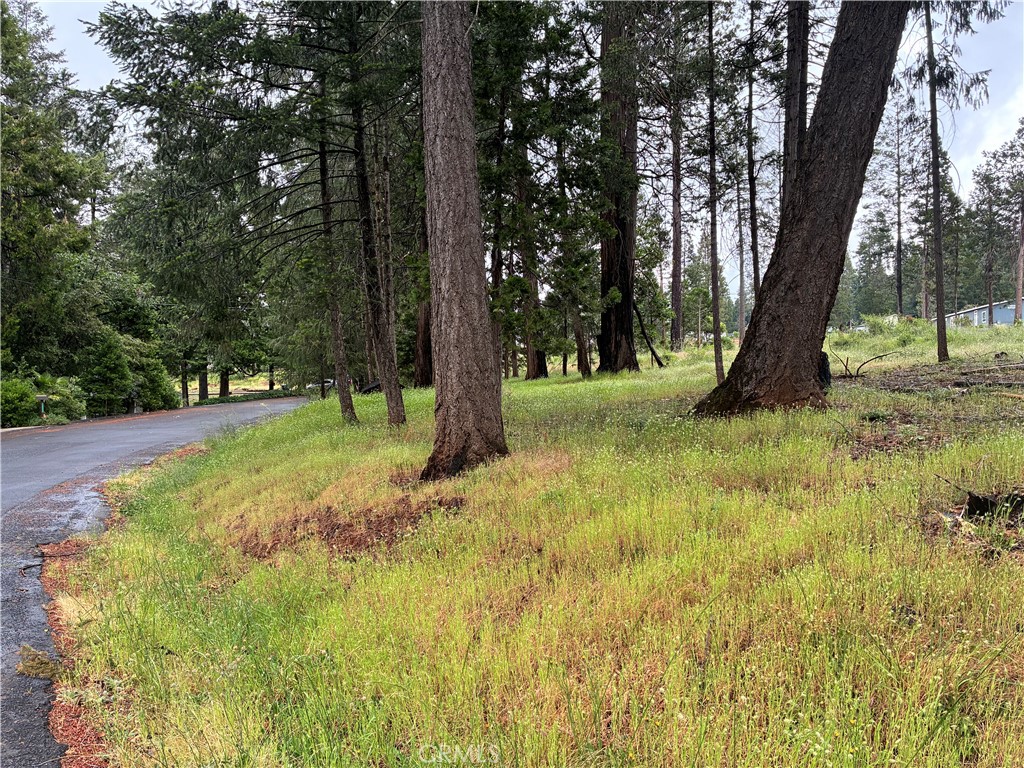 0 Pineland Circle Property Photo 7