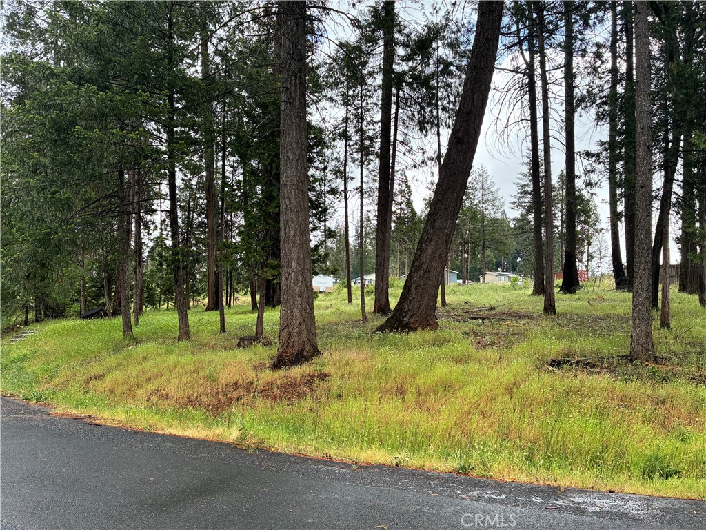 0 Pineland Circle Property Photo 8