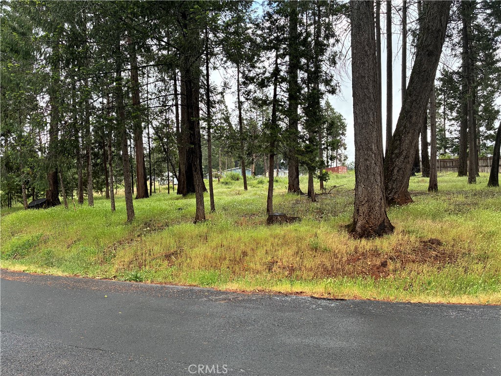 0 Pineland Circle Property Photo 9