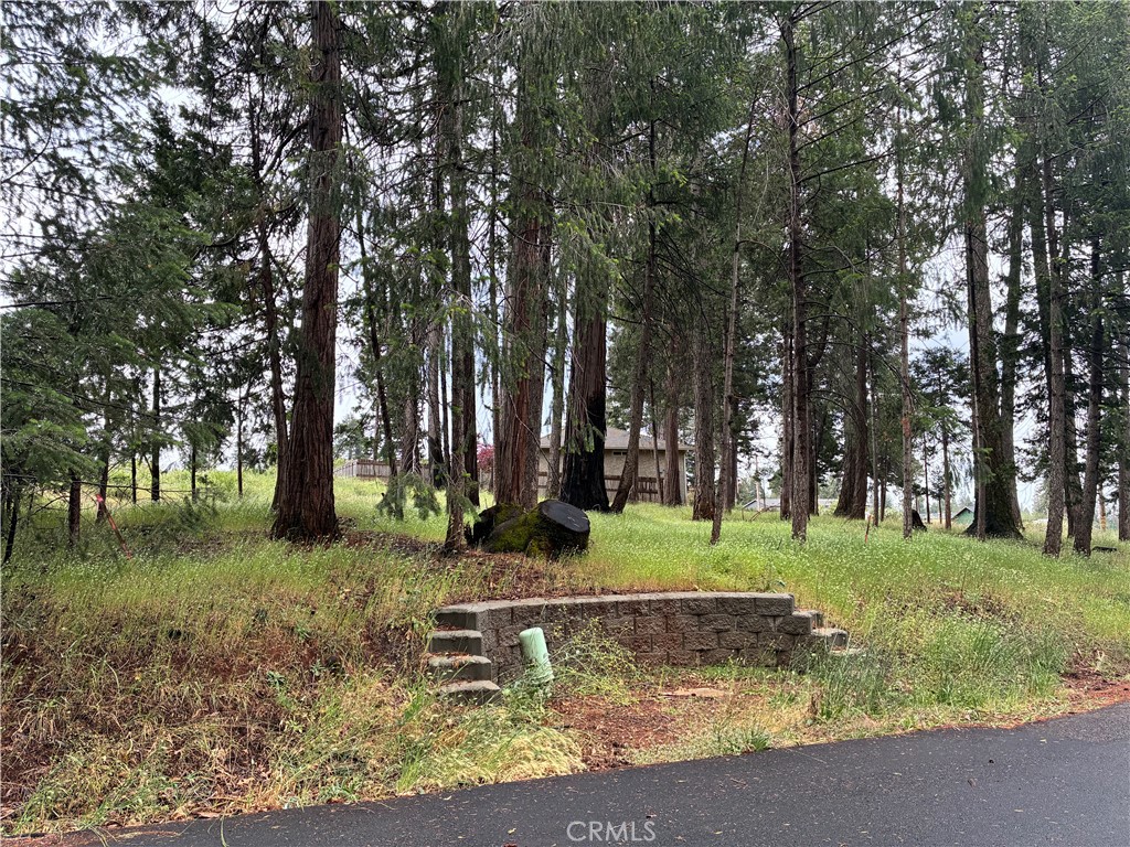 0 Pineland Circle Property Photo 10