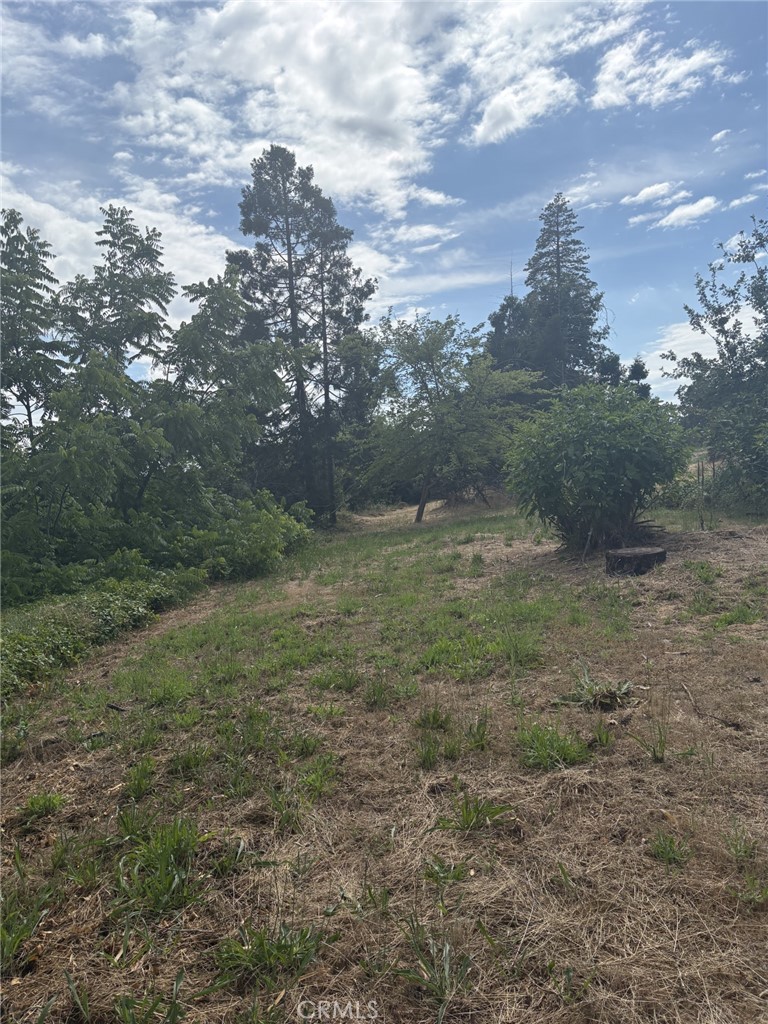 380 Oak Spring Property Photo 1