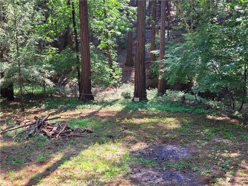 14777 Masterson Way Property Photo 5