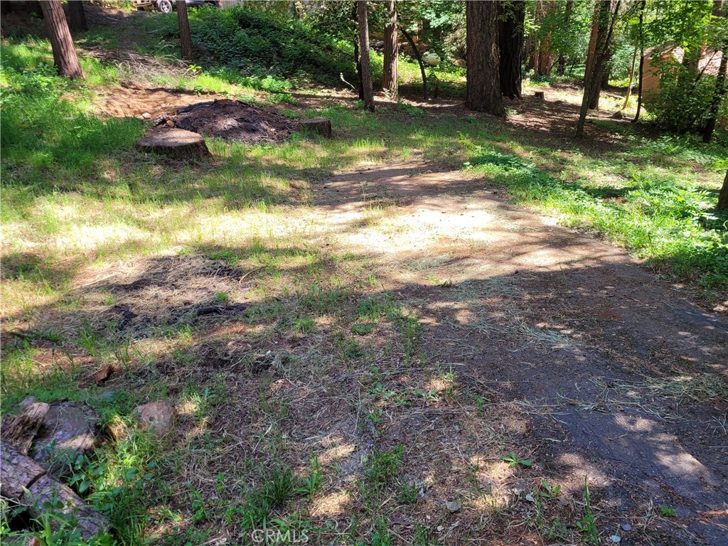 14777 Masterson Way Property Photo 7