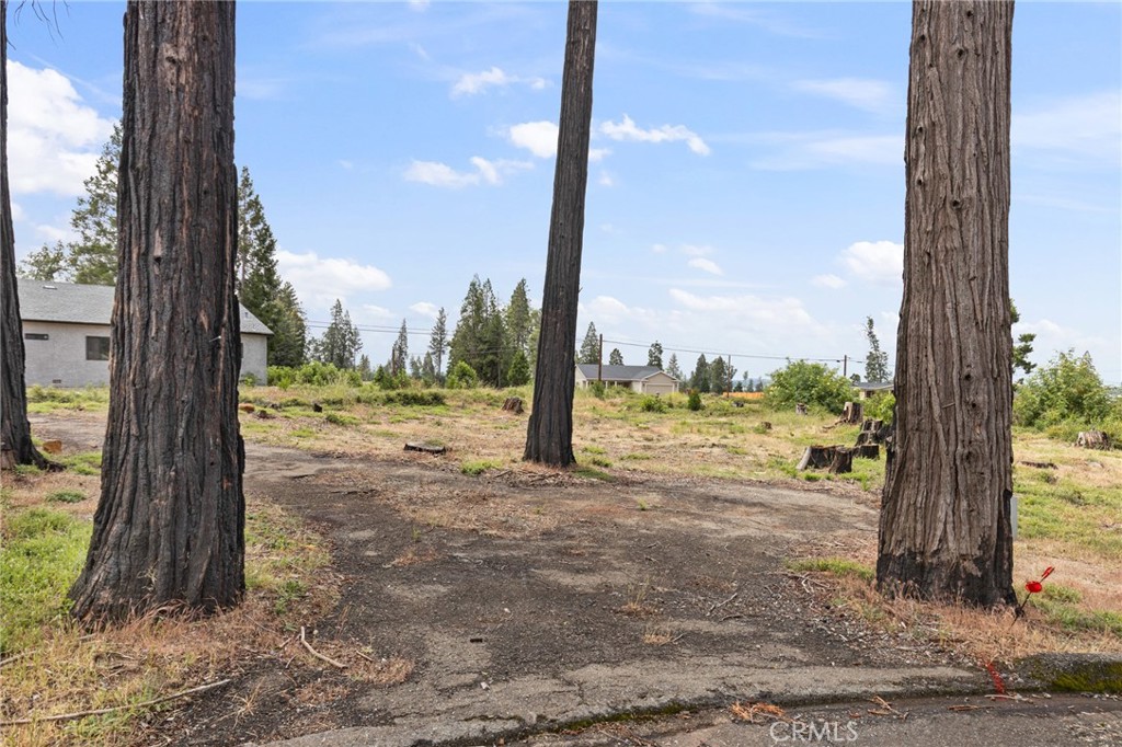 13765 Finch Ct Property Photo 4