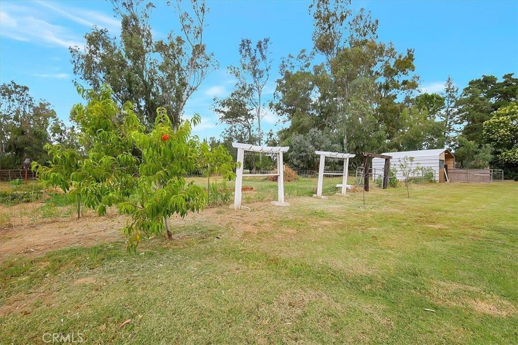7474 Doc Adams Road Property Photo 28