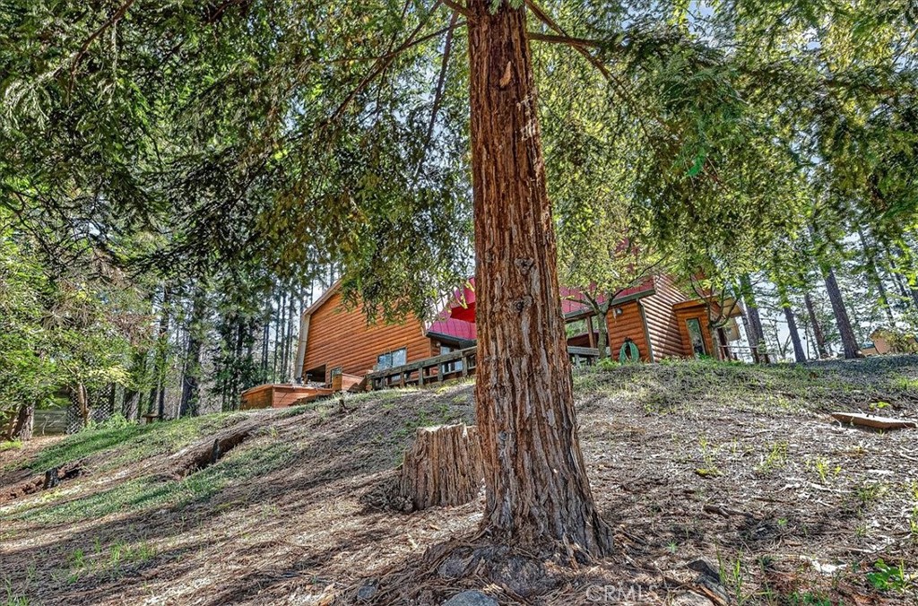 16 Mendocino Property Photo 49