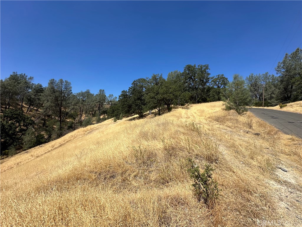 16275 Oakridge Road Property Photo 2