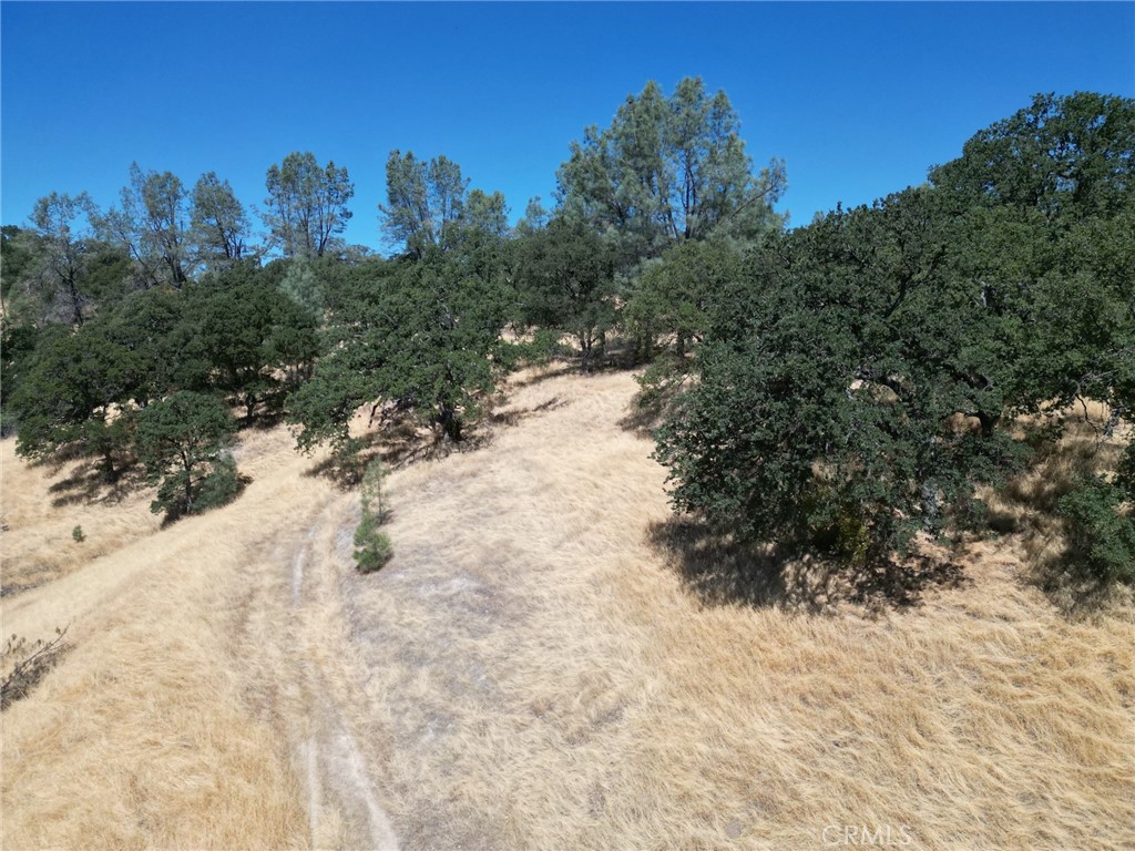 16275 Oakridge Road Property Photo 3
