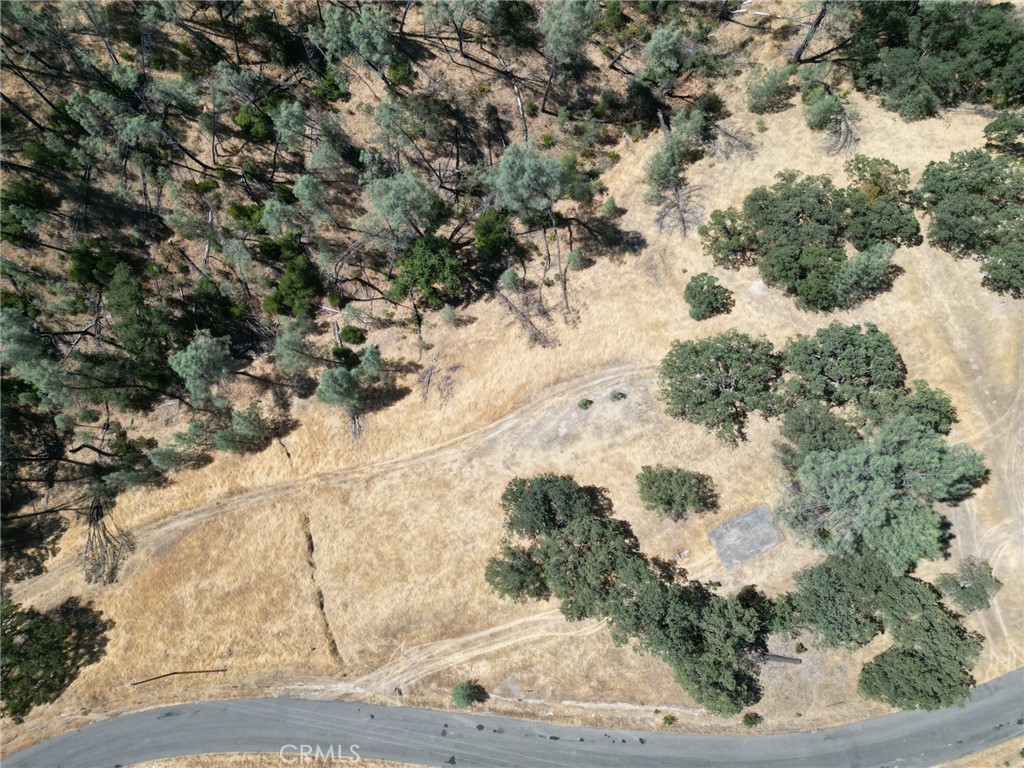 16275 Oakridge Road Property Photo 4