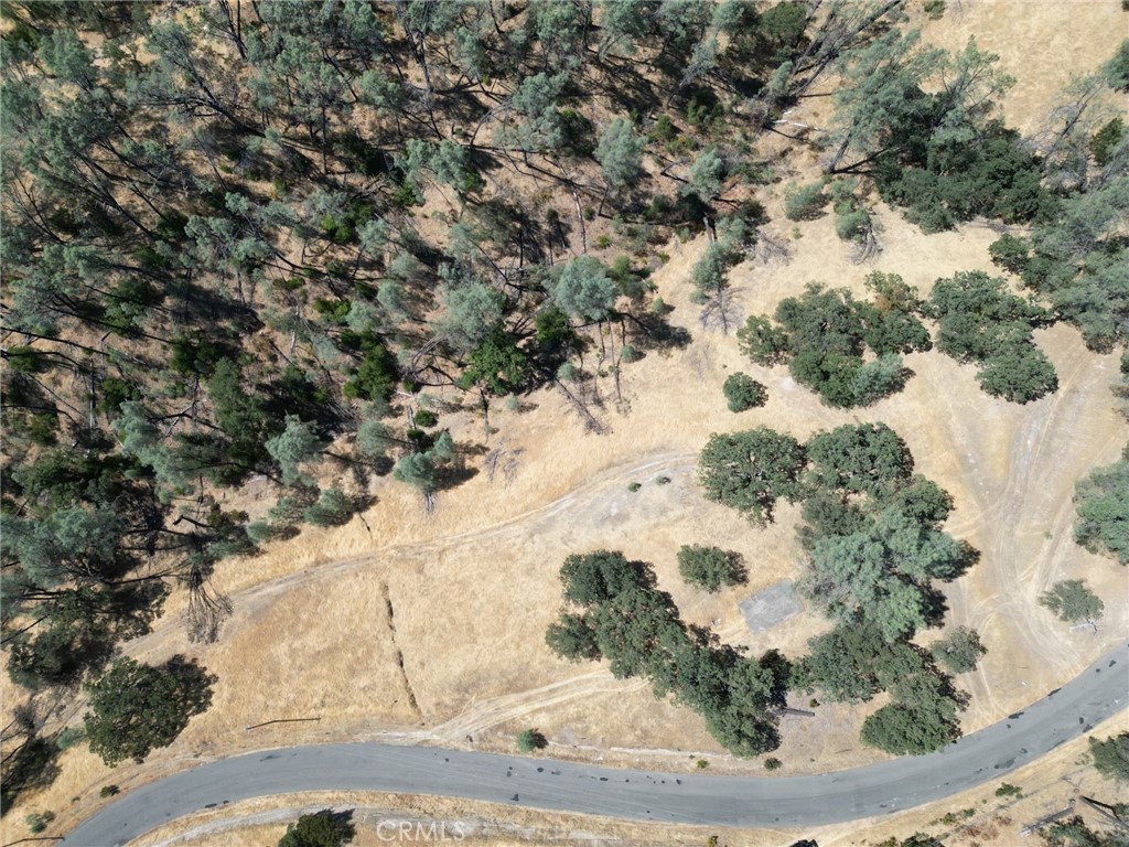 16275 Oakridge Road Property Photo 5