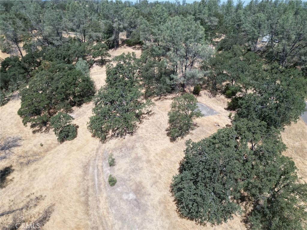 16275 Oakridge Road Property Photo 6