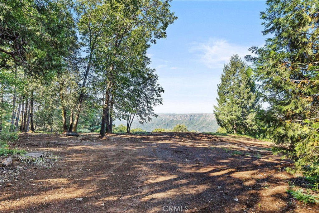 14087 Nimshew Property Photo 3