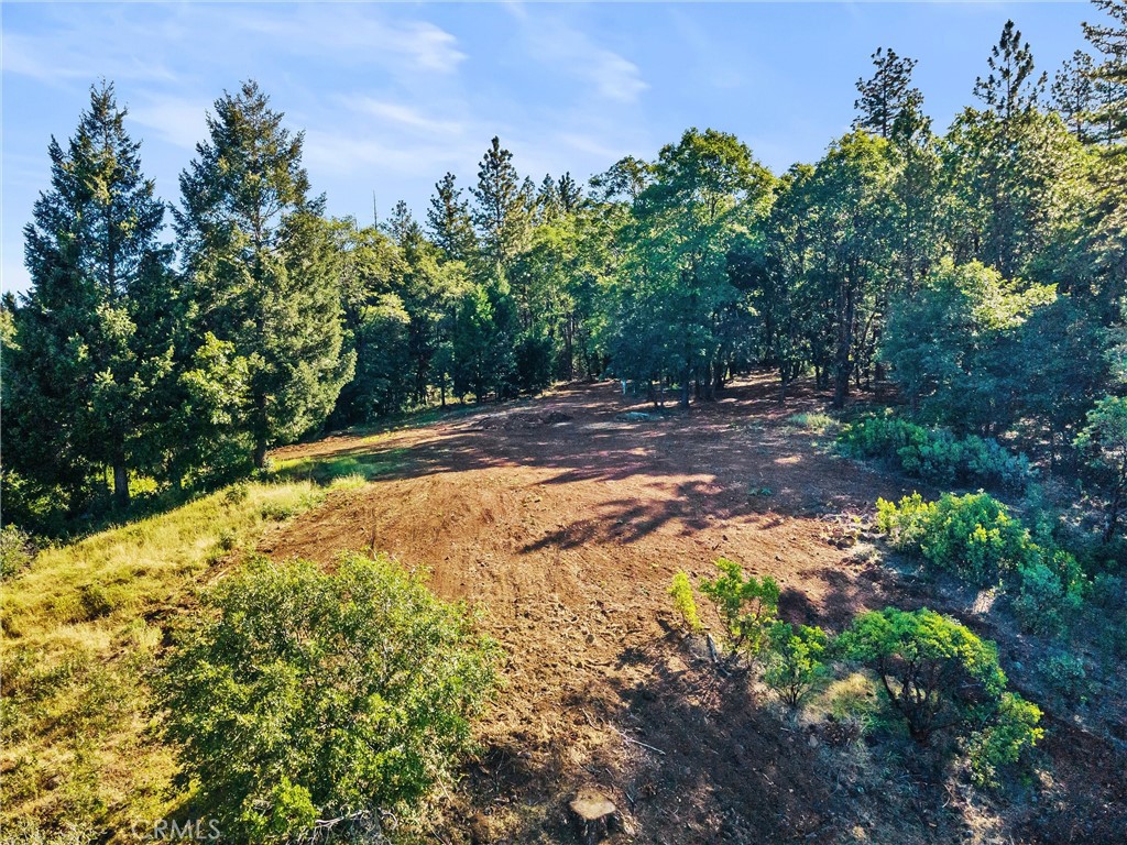 14087 Nimshew Property Photo 6
